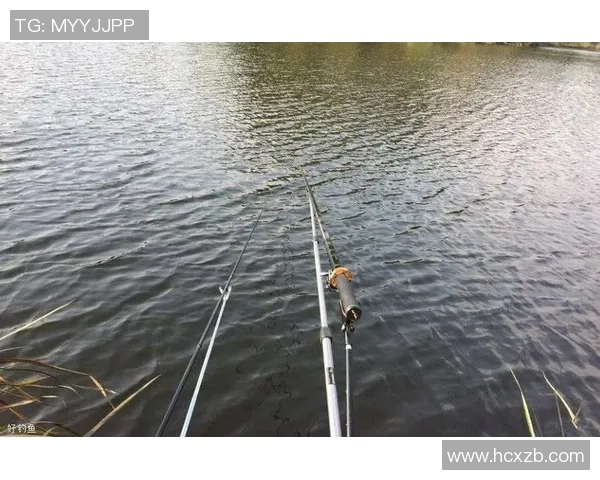 新手怎么开端力气练习？